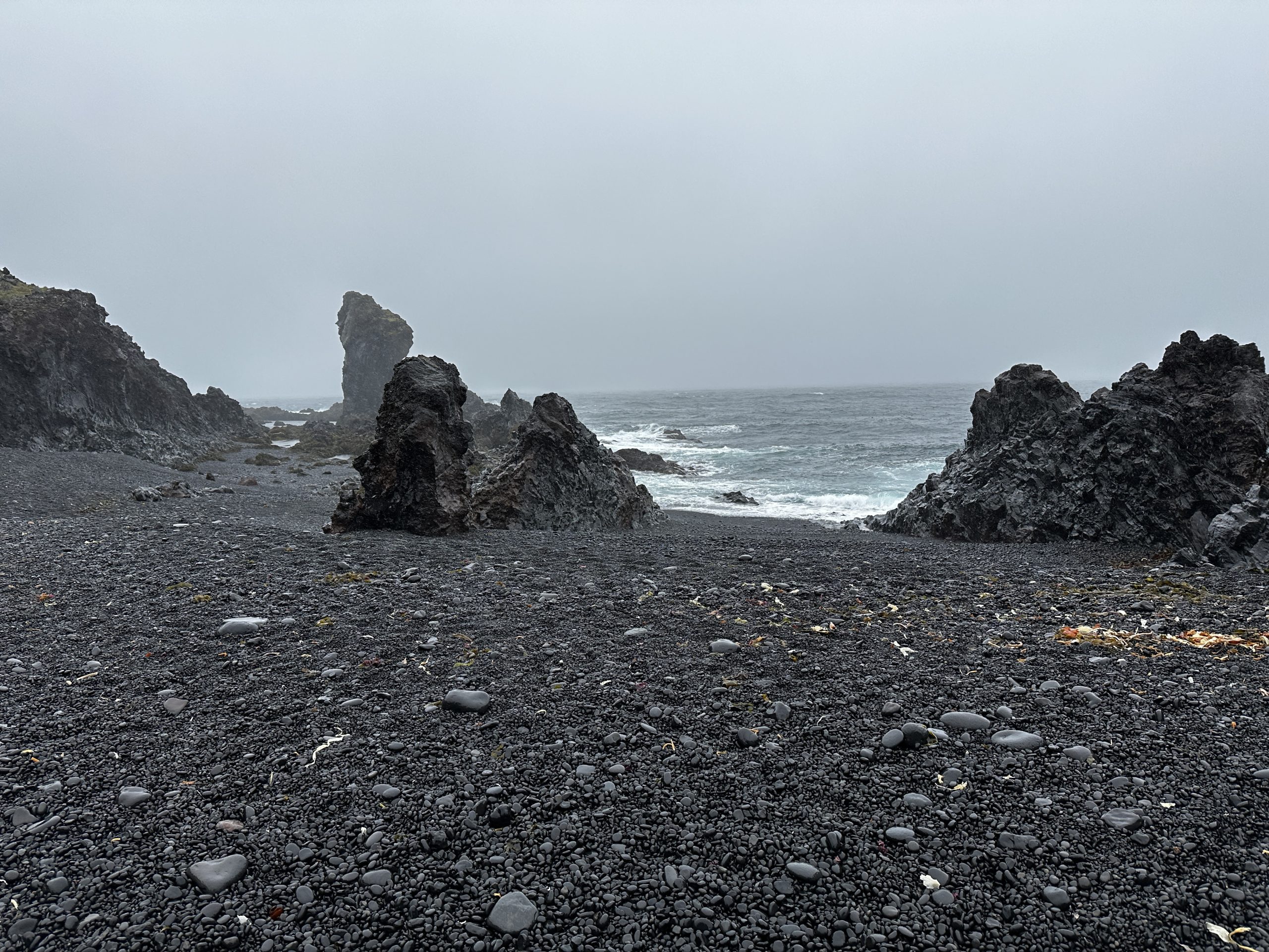 20240904_120020360_iOS