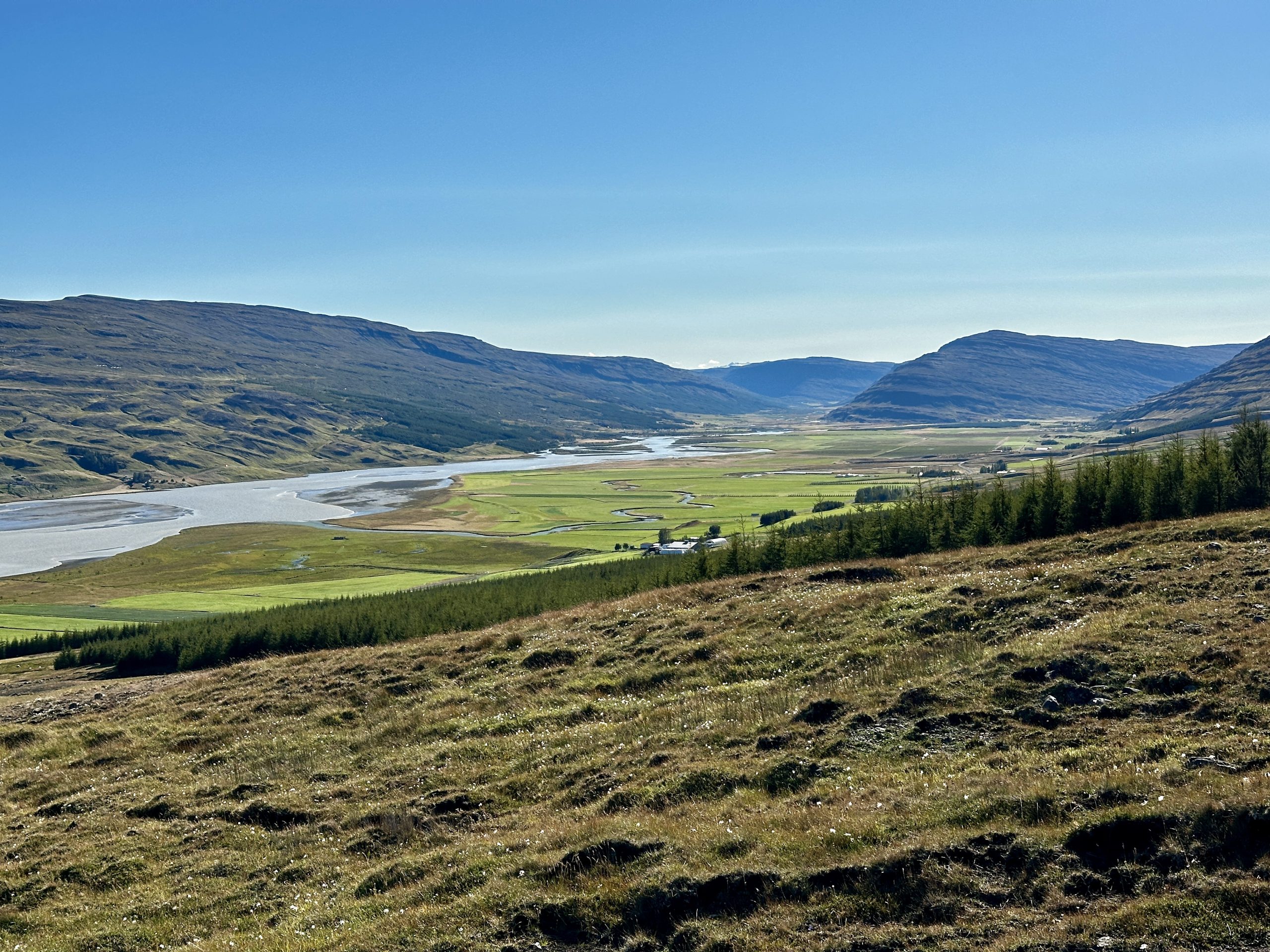 20240907_151750472_iOS