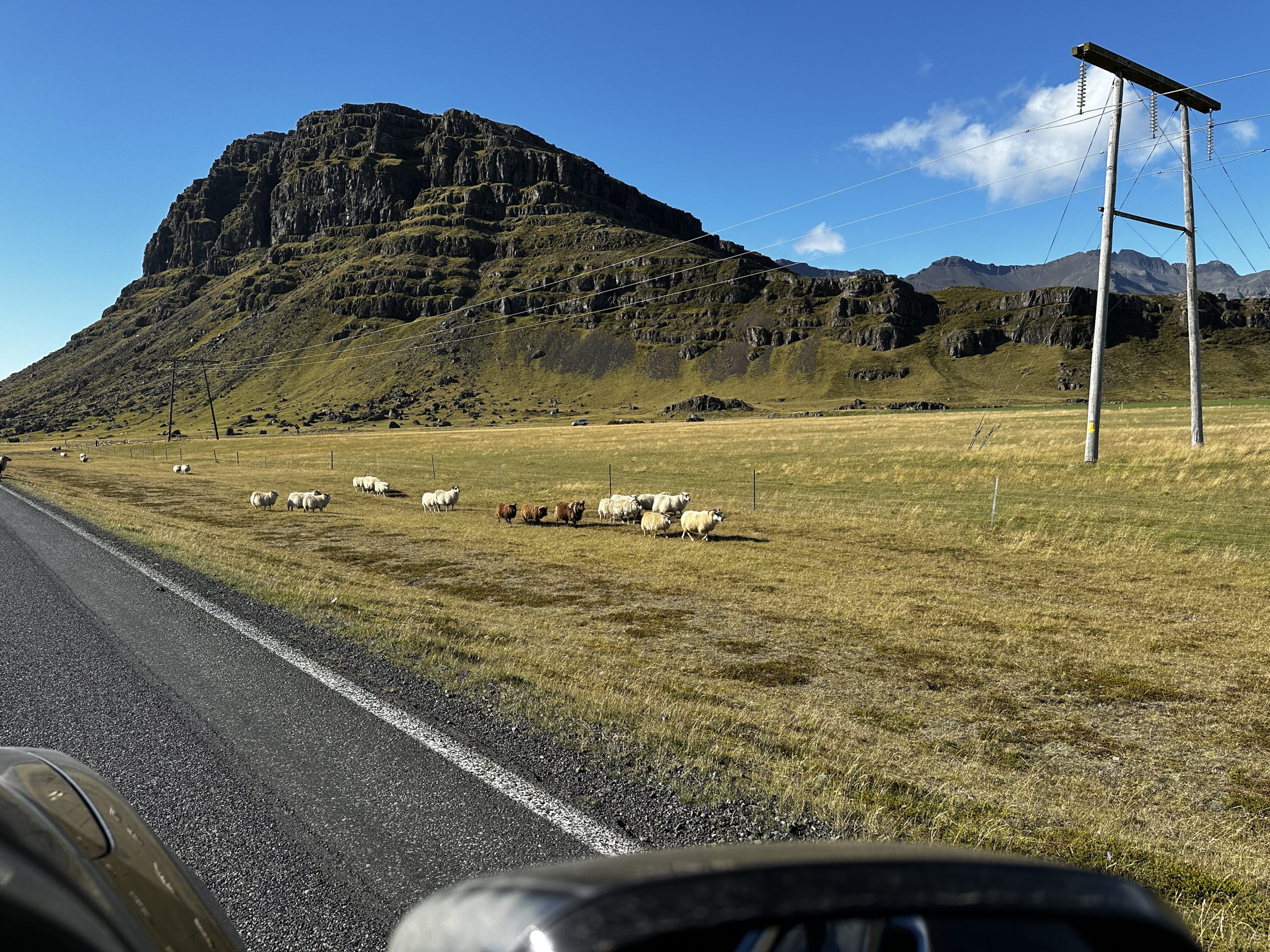 20240908_122842325_iOS