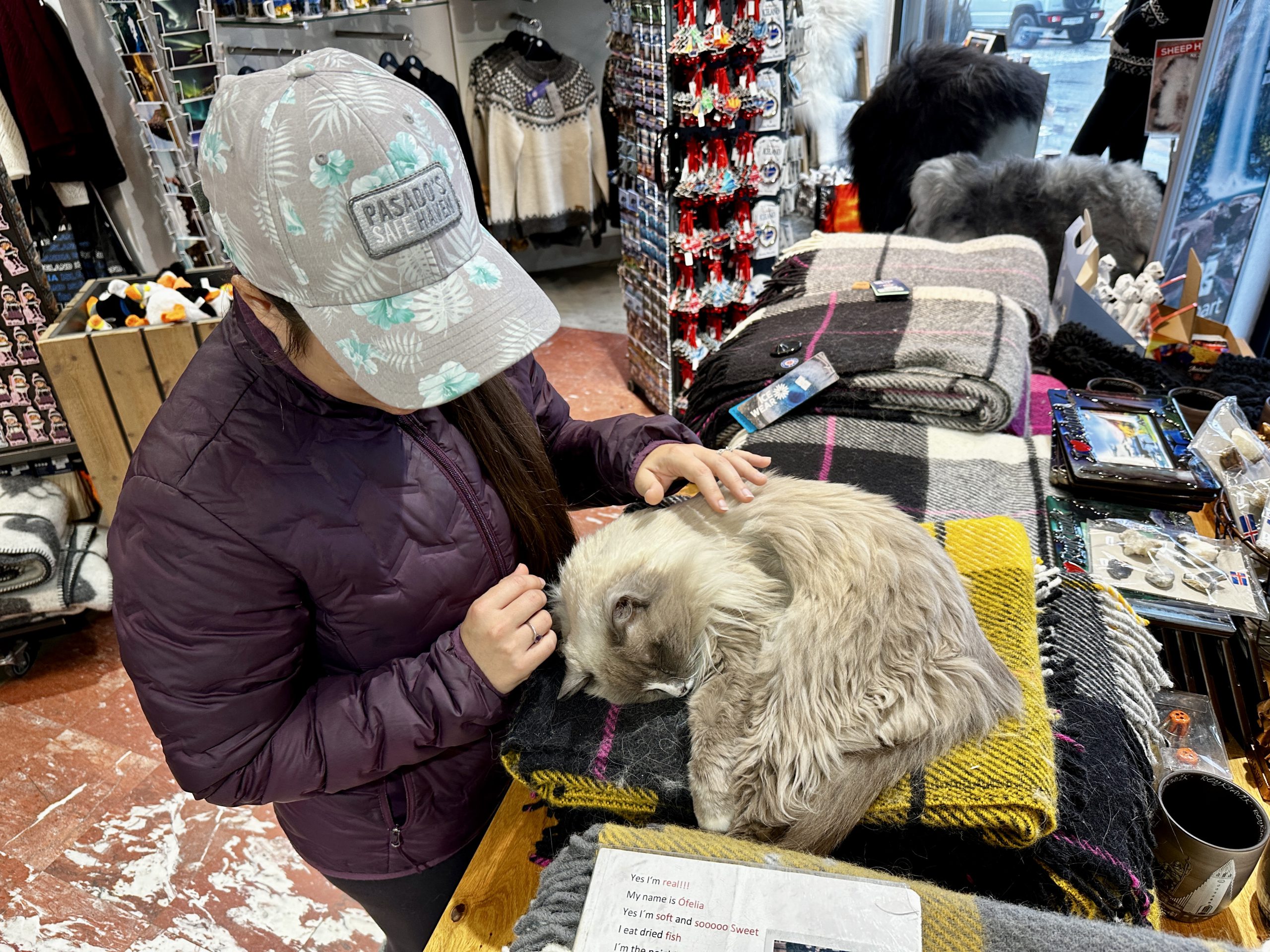 20240902_115549868_iOS