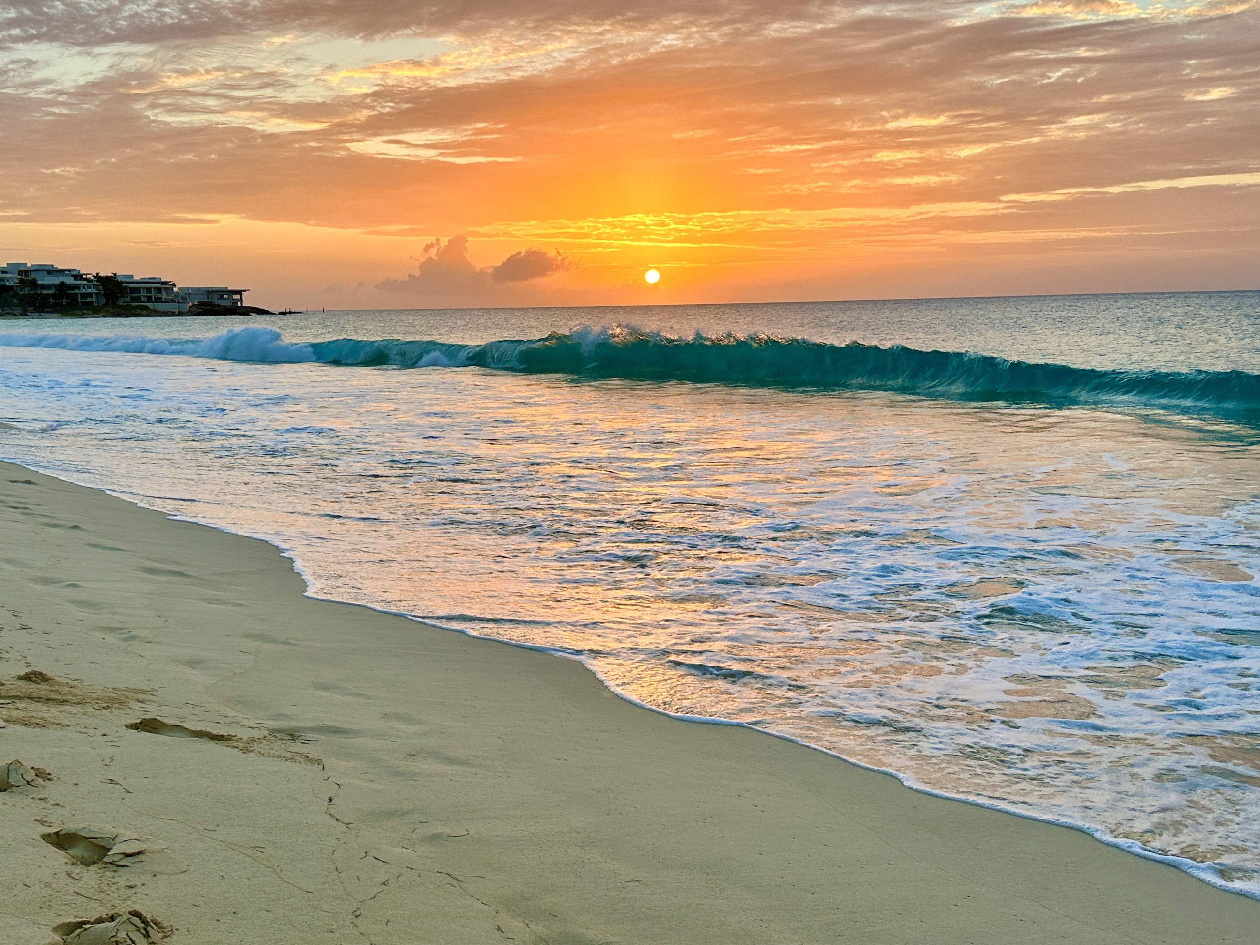 Reflecting on our Time in Paradise