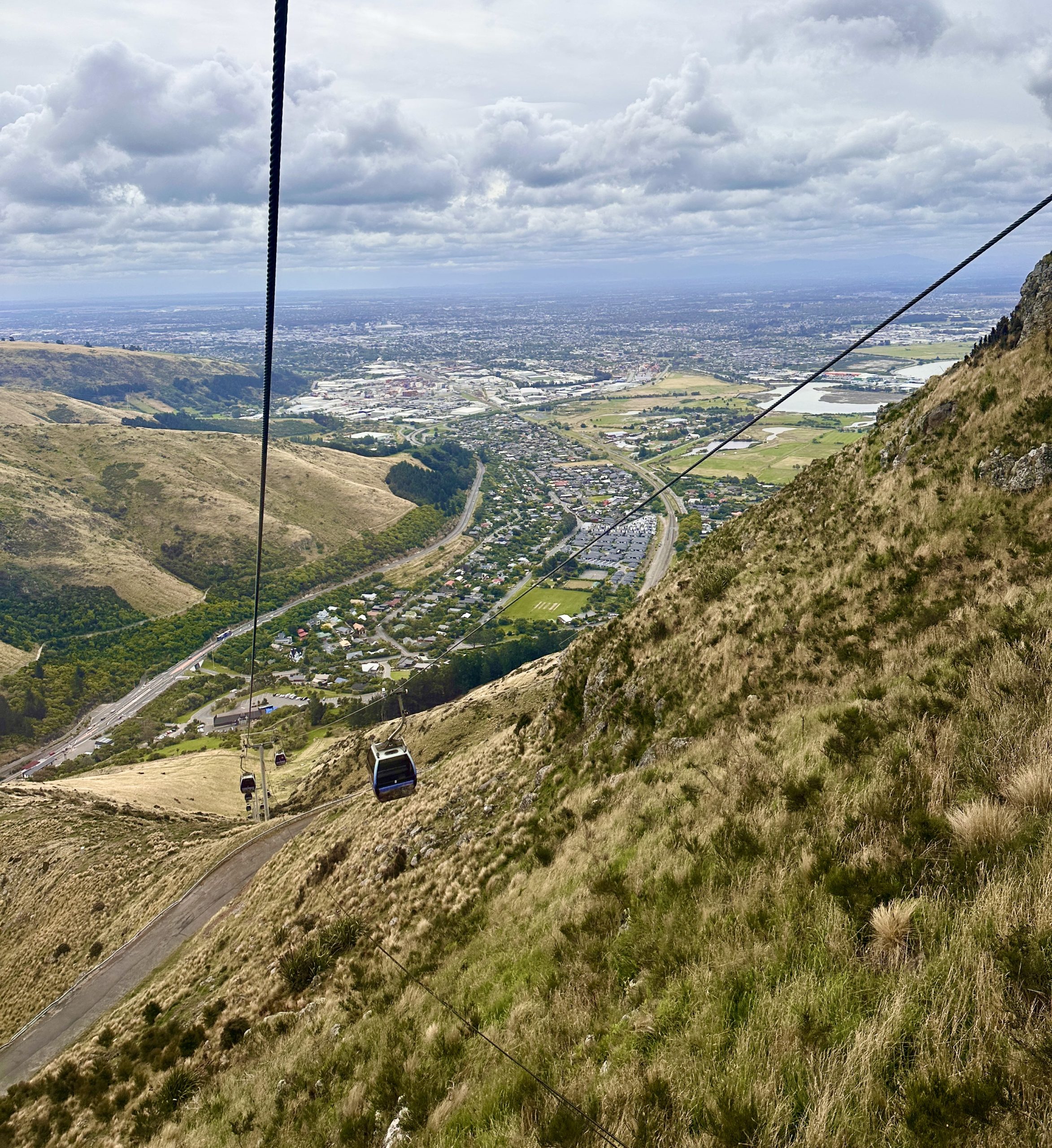 Swinging in the Breeze