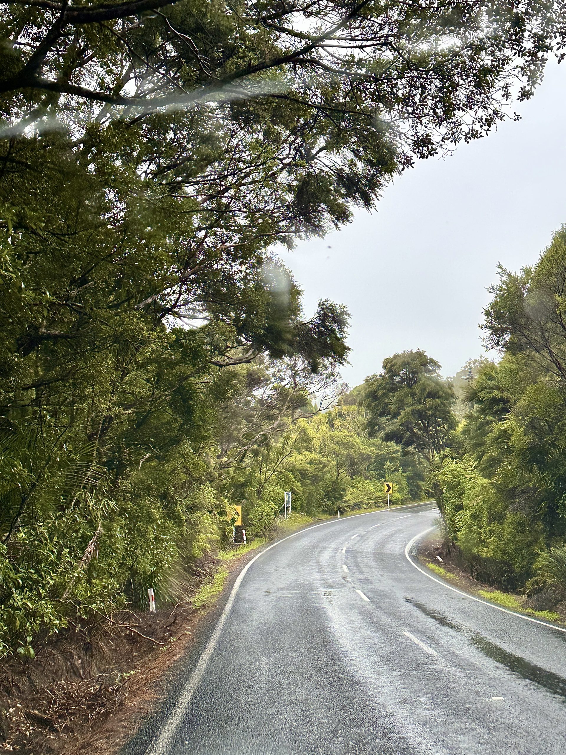 Kia Ora, Aotearoa (“Hello, Land of the Long White Cloud”)